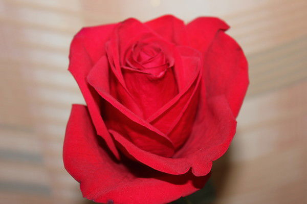 Сергей Усачёв