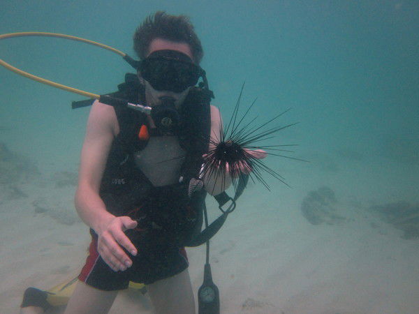 Антон Воробьёв