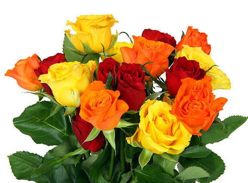 Татьяна Шалаева