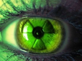 Алексей Ширков