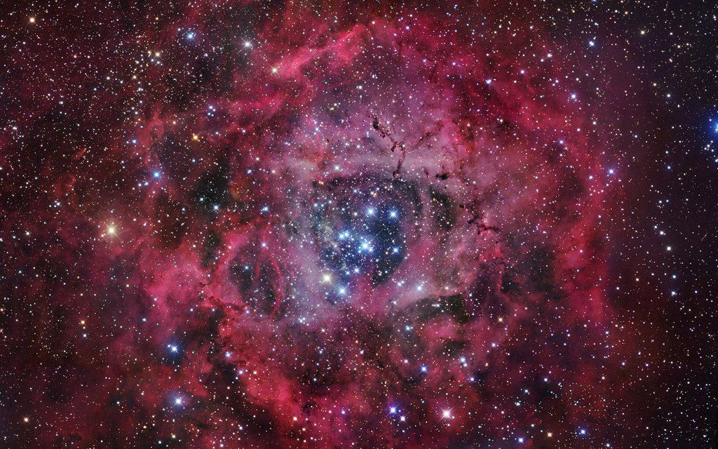 Мария Бурдина