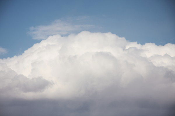 Катя Федосеева