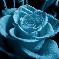 Ирина Емельянова