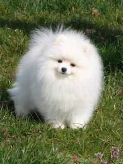 Людмила Тен