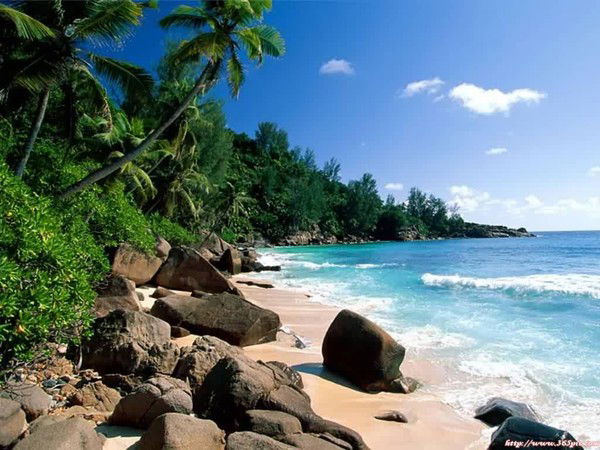 Доу № 35 Шангареева