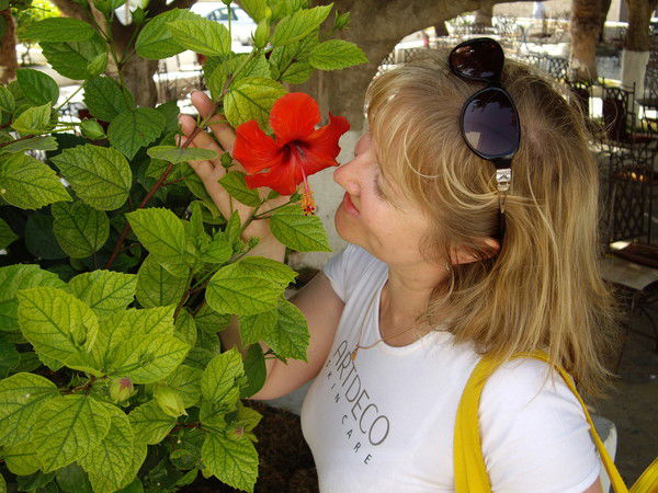 Светлана Света