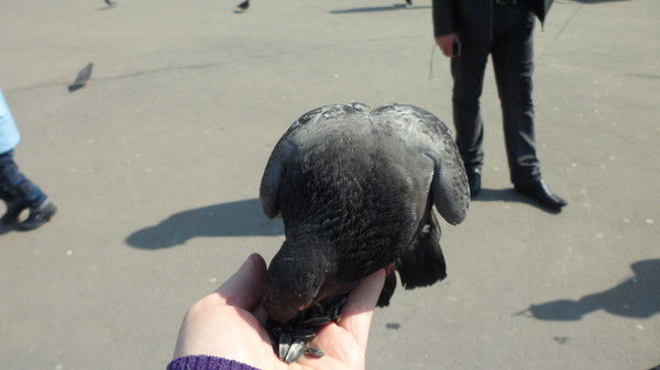 Валентина Бальке.