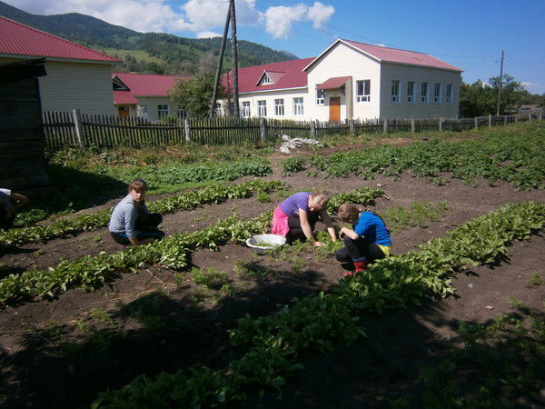 Ольга Фирсова