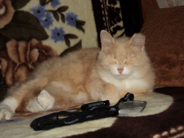 Светлана Ильина(Усольцева)