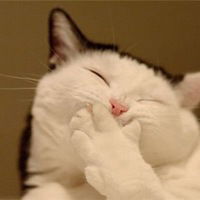 Ирина Воробьева