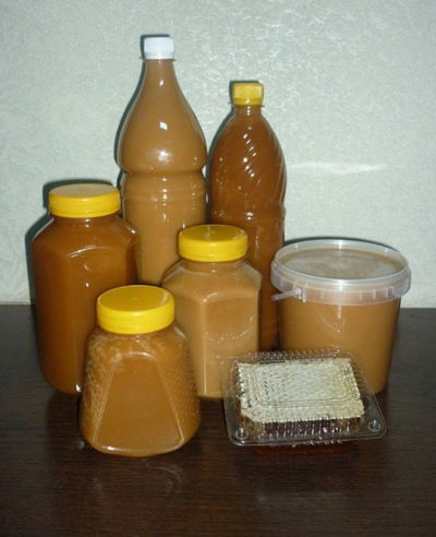 Валентина Бауэр