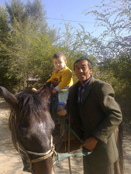 Айнура Алимова