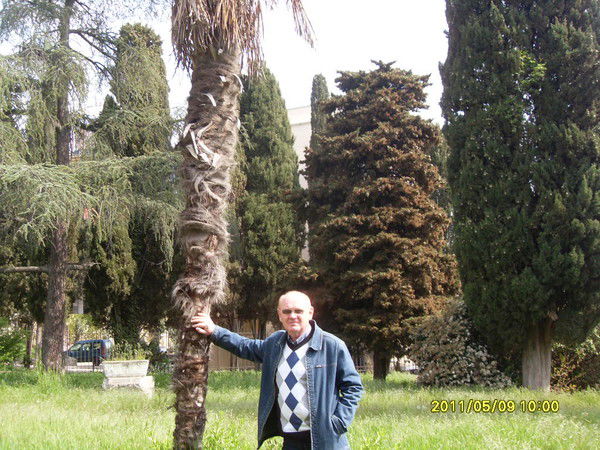 Валентин Колесник