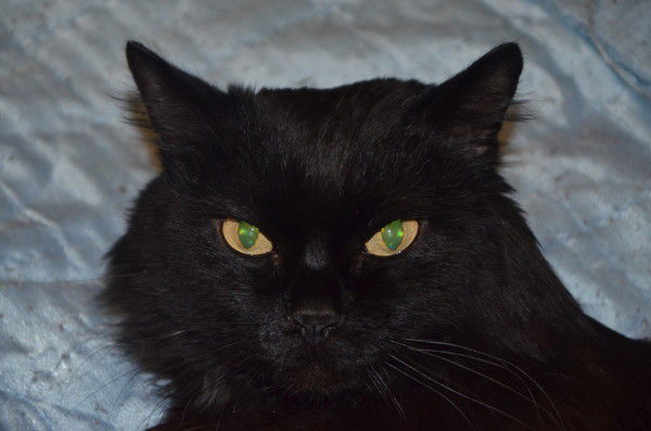 Алексей Иванов