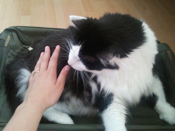 Ольга Ефремова