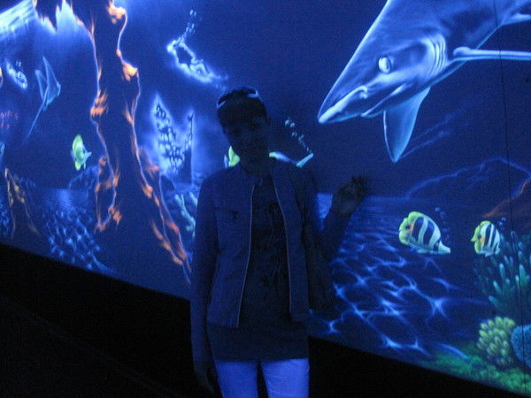 Белякова Екатерина