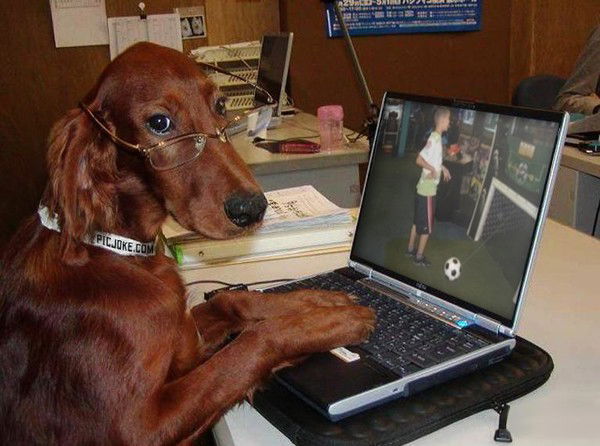 Жангир Сеитов