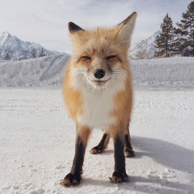 Владеслав Бойков