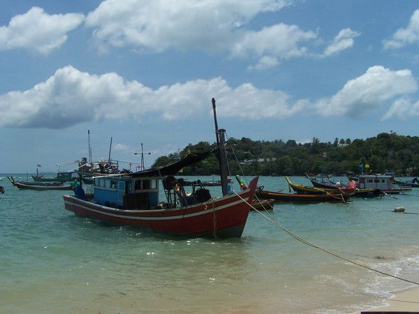 Дмитрий Сафонов