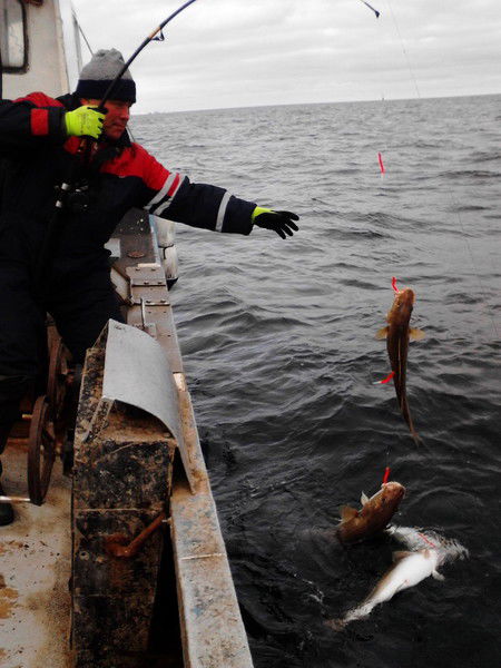 Сергей Дурягин