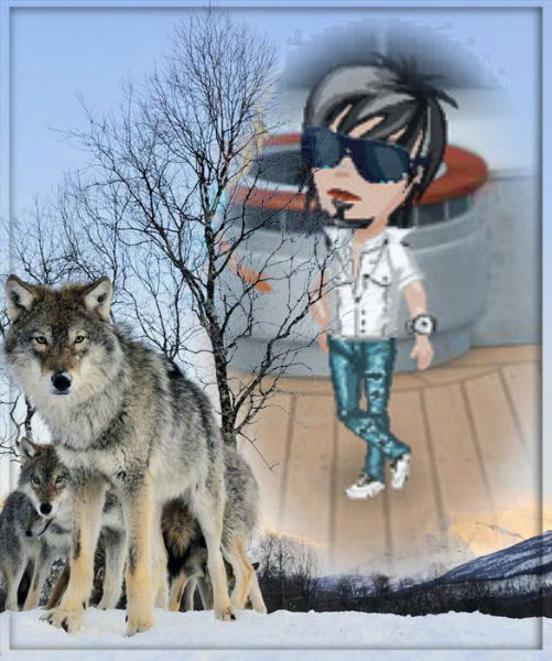 Максим Мясов