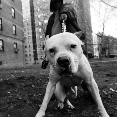 Тимофей Стародумов