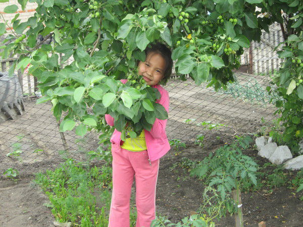 Адия Орынбай