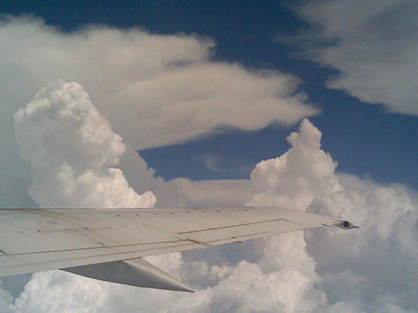 Аркадий Шкуренко