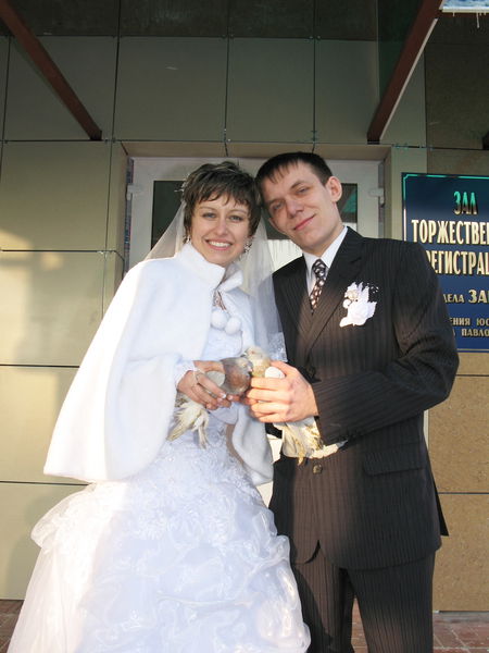 Иван Гайбель