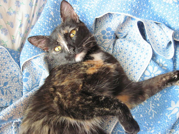 Сергей Курочкин