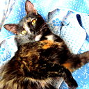 Сергей Курочкин