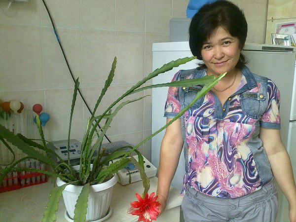 Жайнагуль Ибраимова