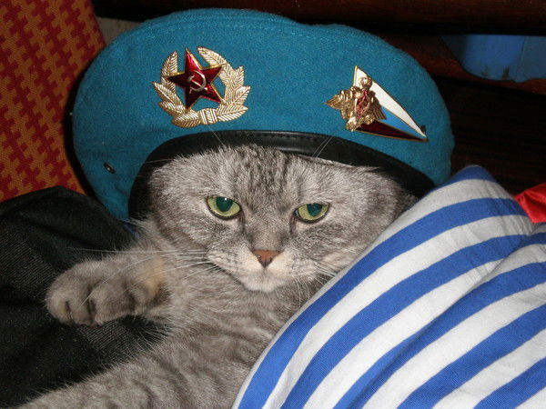 Сергей Голенищев