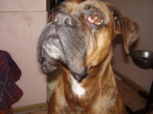 Наташа Климова