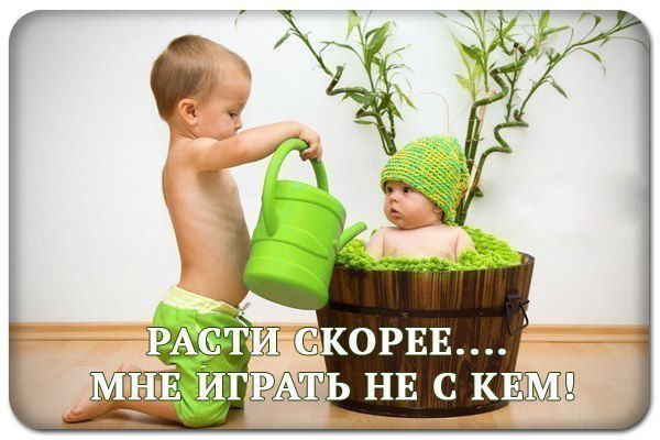 Magistratura Magistratura