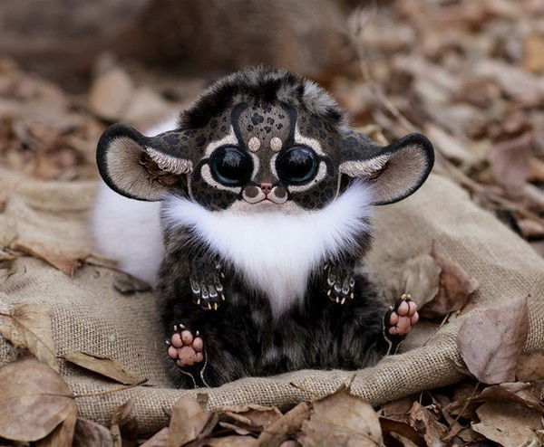 Александр С