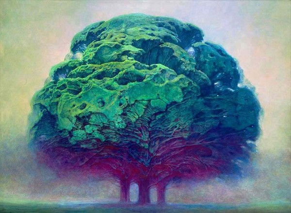 Антон Сидинкин