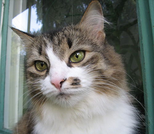 Татьяна Ливадина