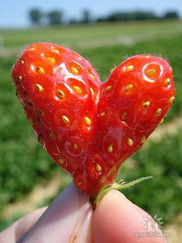 Аа Артемьева