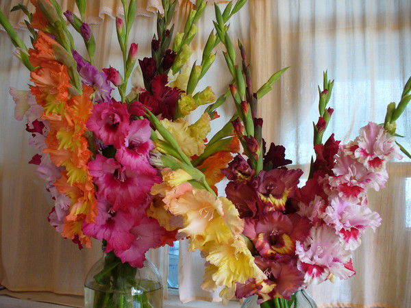 Марина Рюмина