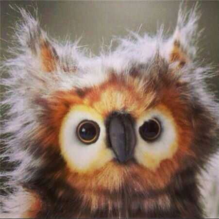 Энвер Масанов