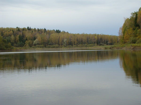 Дмитрий Ушаков