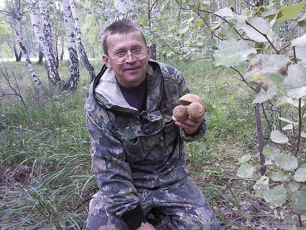 Владимир Плис