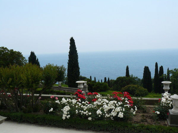 Павел Стрельцов