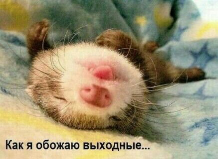 Гульнар Халыкова