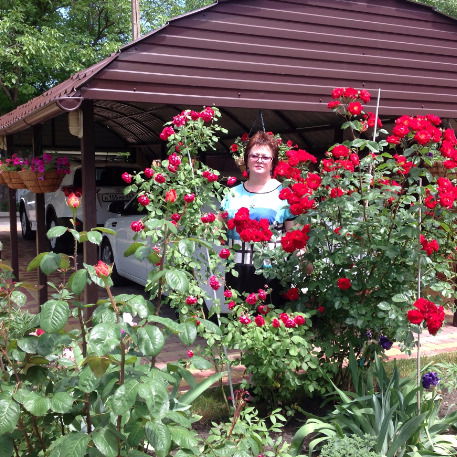 Людмила Волошенко