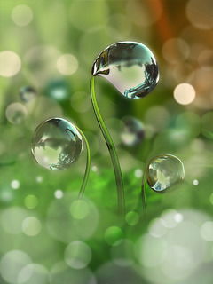 *** Наталья*** *** Наталья***