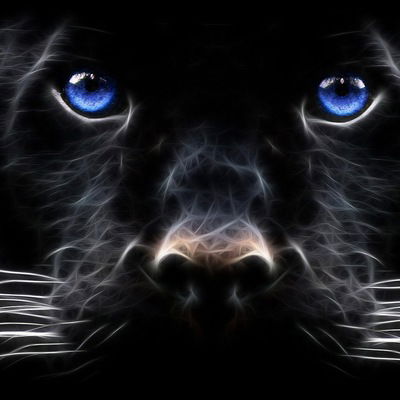 Дмитрий Чиртик