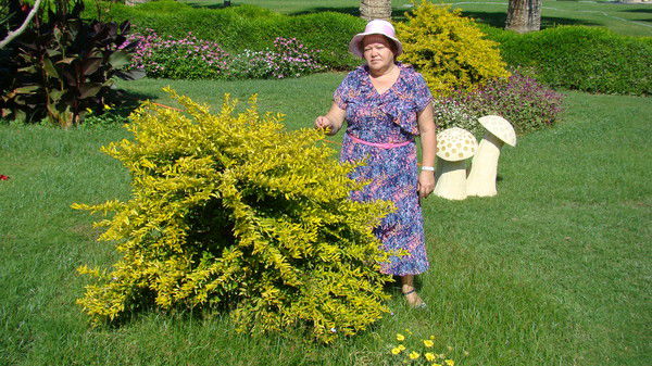 Лариса Пушкарева