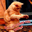 Зоя Белая